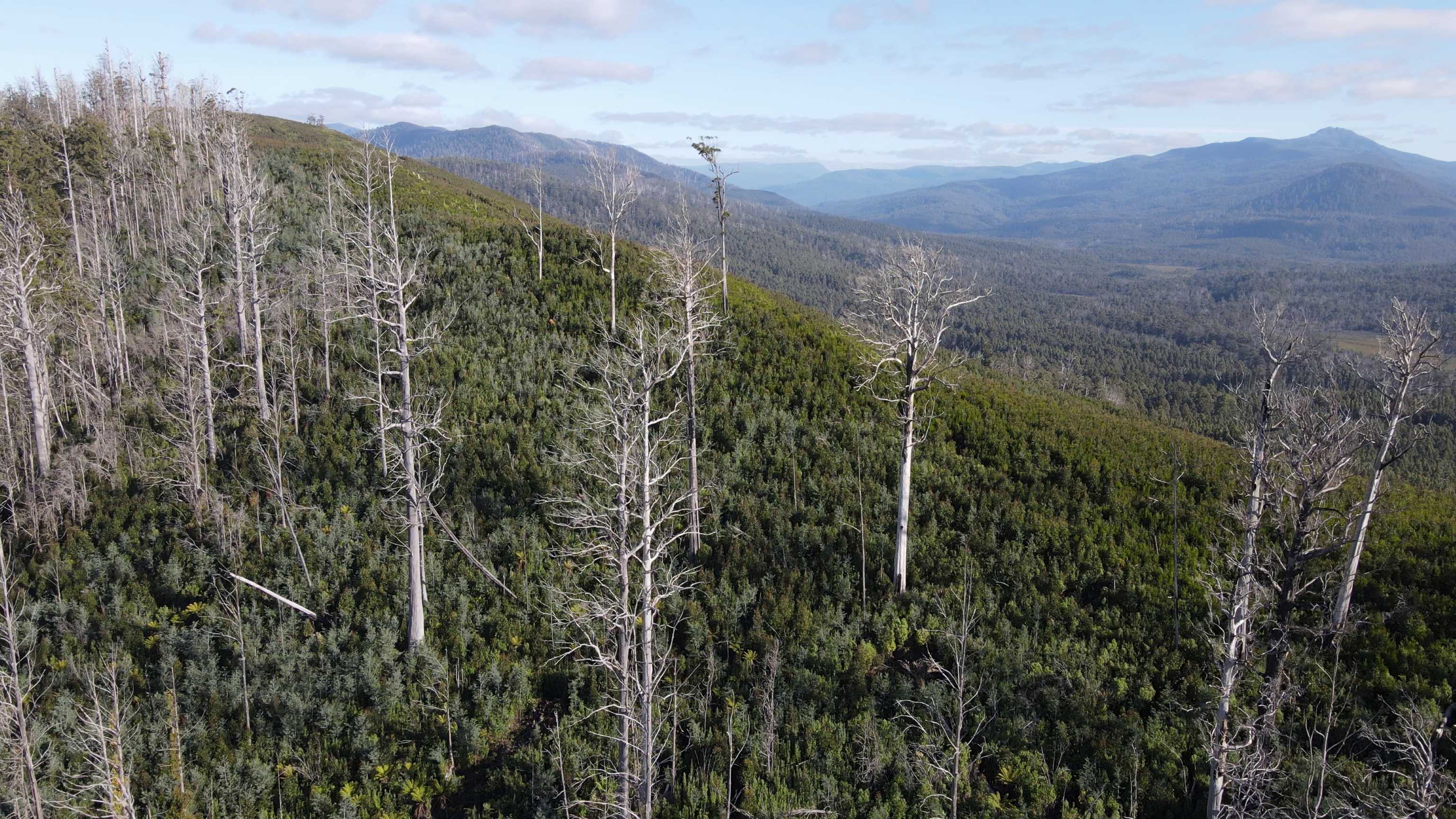 Structural Change in National Parks